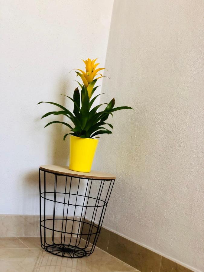 Guest House Stipe 布雷拉 外观 照片